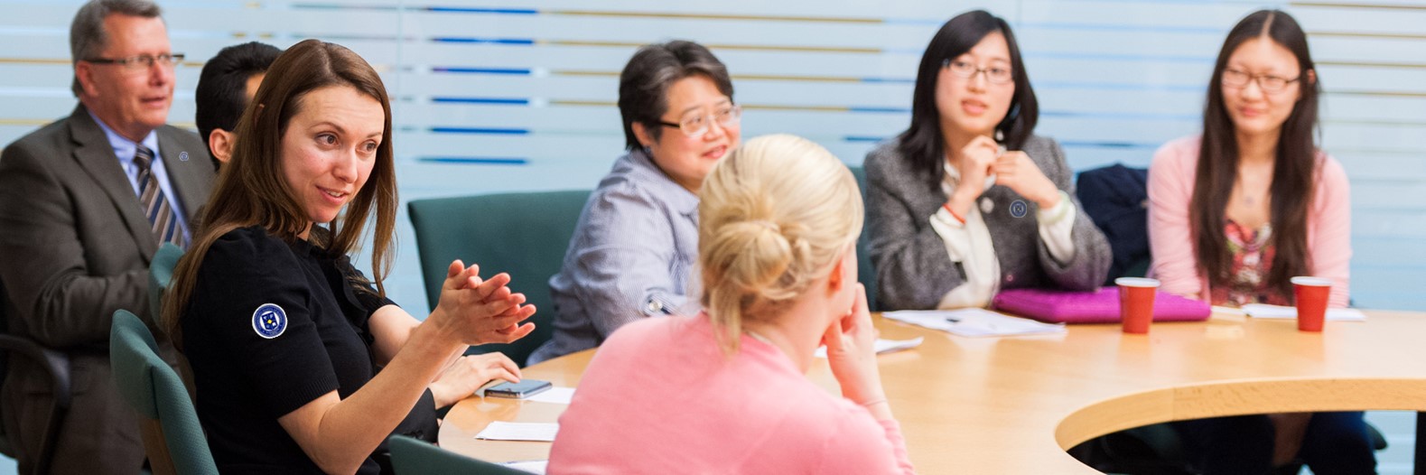 FACULTY INFORMATION (图1) APSB