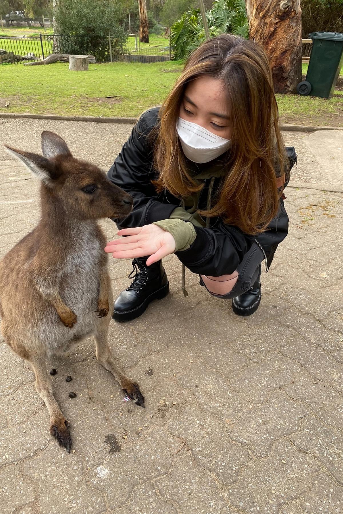 Jacqueline Angelina Kwari - Study Abroad Testimonial(图4) Kangaroo