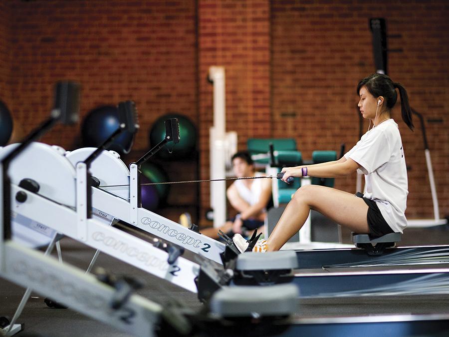 Fitness hub - rowing machines