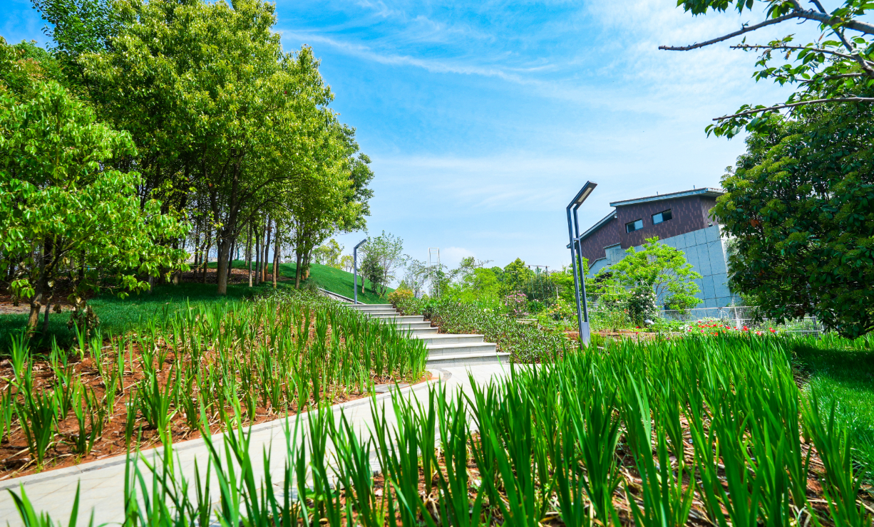 屏幕截图 2025-07-07 190630.png